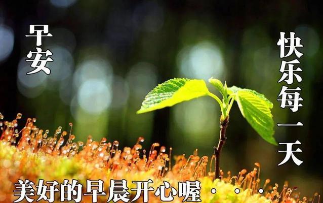 下雨天的早安语句怎么说（雨天早安）