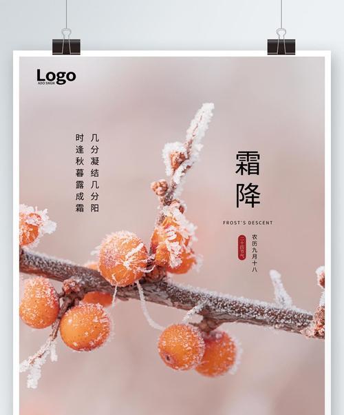 霜降降温了怎么发朋友圈（迎接霜降，走进冬日世界）