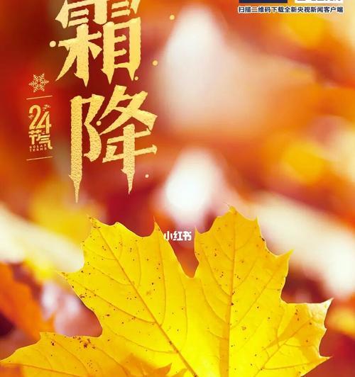 霜降降温了怎么发朋友圈（迎接霜降，走进冬日世界）