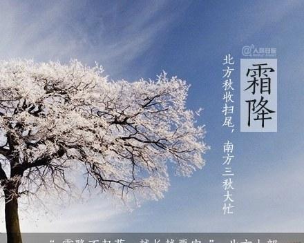 霜降怎么发朋友祝福的说说（霜降的祝福句子，让心灵温暖）