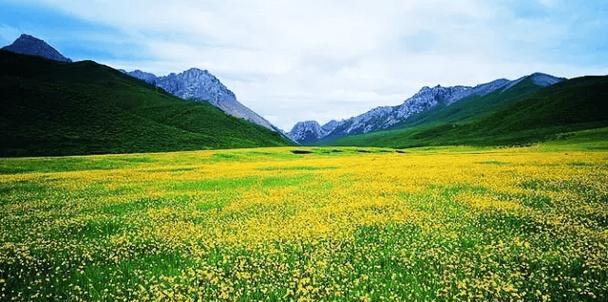 生命的源头什么意思（《草籽的奇妙旅程》）