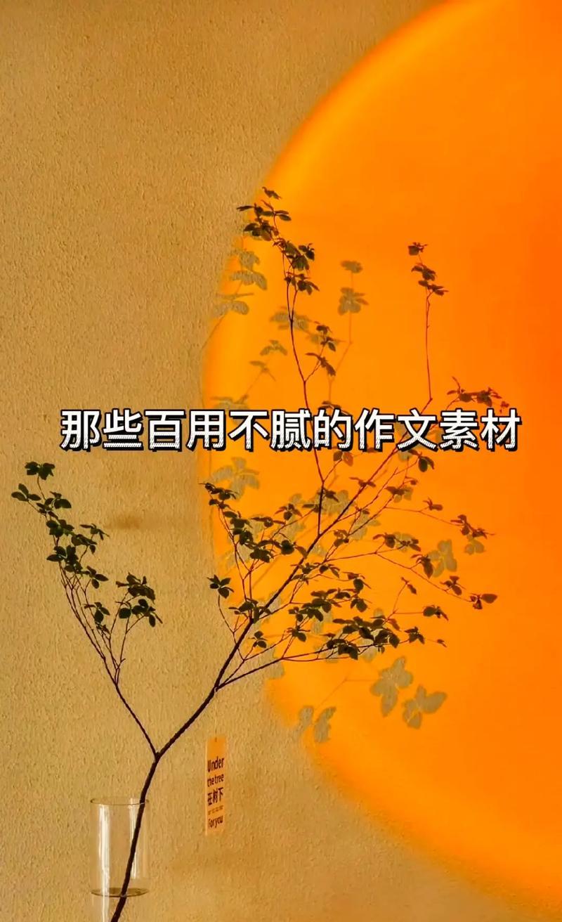 以柔和的月光为话题的作文怎么写（《柔和的月光》）
