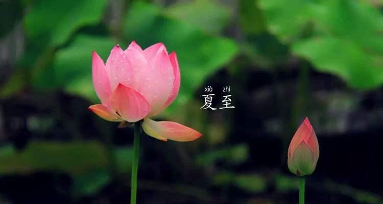 2024年节气时间表（131句优美的夏至节气短句）