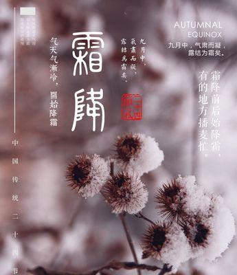 霜降降温了怎么发朋友圈（万物凋零，唯有爱恋；萧瑟秋色，温情满怀）