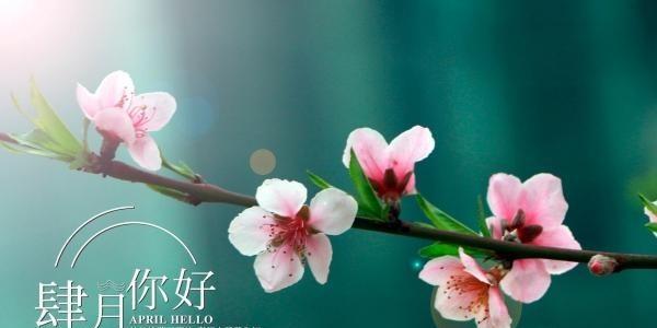 四月你好发朋友圈怎么说（和朋友圈一起感受四月的美好）