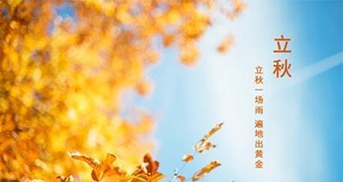 2024年立秋时间是早还是晚（一段美好的早晨，感受秋季的气息）