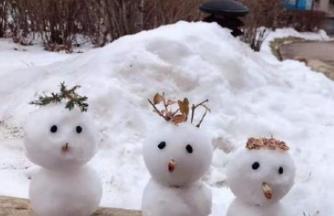 外面下雪了什么意思（雪落人间）