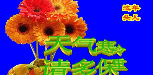 有关2024年降温注意保暖的温馨句子的句子怎么写（冬日的温暖剪影）