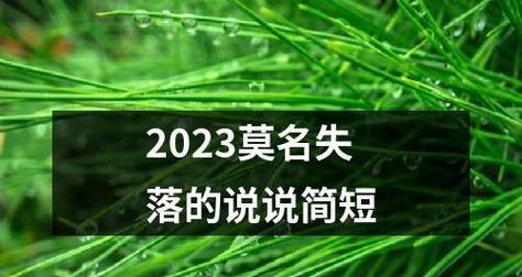 2024年会怎么样?（瞻望未来，唯美幻想——2024年）