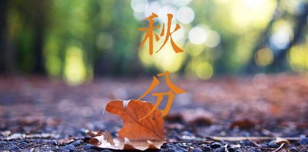 秋分的谚语和含义（探寻秋分节日的文化内涵）