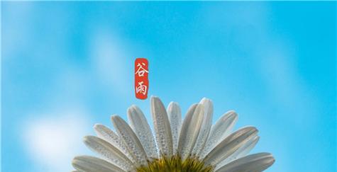 2024年谷雨节气的含义是什么（山间诗意、花开雨后）