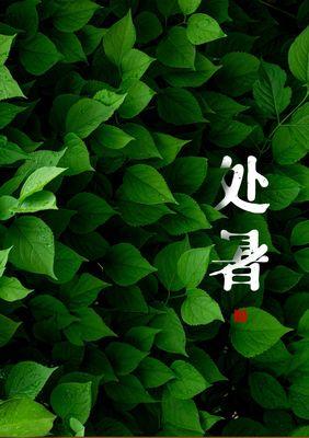 今天是处暑怎么发朋友圈（《落日余晖，秋风瑟瑟》）