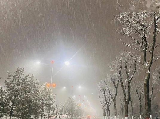 2024年的第一场雪怎么发朋友圈（2023年第一场雪降临，朋友圈里的美丽瞬间）