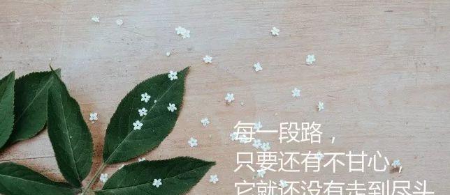2024年怎么样（2024年底，我内心最深处的感悟）