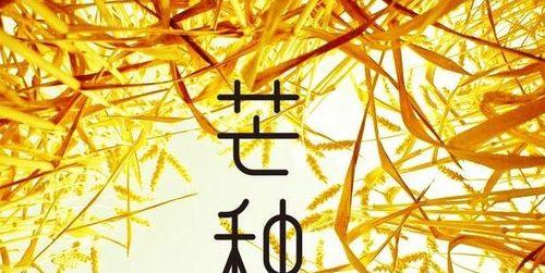 2024年芒种节气祝福语（芒种时节，祝福满满）
