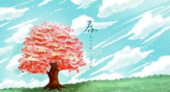 2024年立春是什么时间几时几点（美丽的心情如春风般拂过）