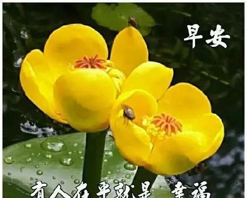 九月第一天怎么发说说（2024年9月1日，我静静地感受秋天的气息）