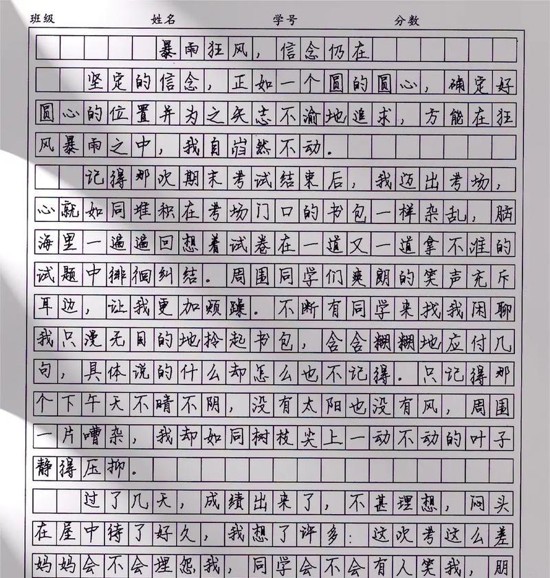 成功的信念的含义（《坚定的信念》）