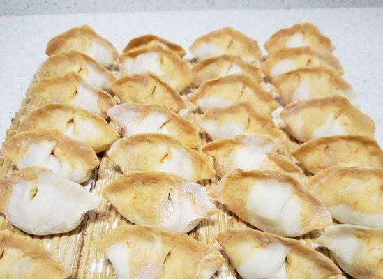 有关诱人的饺子的作文怎么写（《饺子的诱惑》）