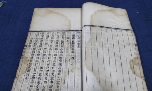唯一的知己用英文怎么说（《唯一的知己》）