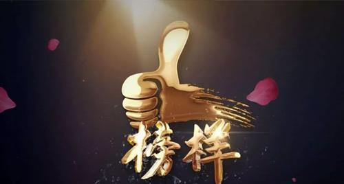 人多力量大用成语怎么说（众志成城，创造美好）
