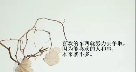 怎么形容年轻人有朝气（朝气蓬勃的年轻人）