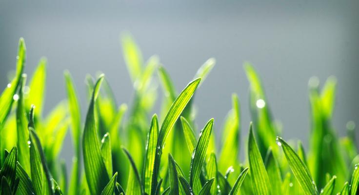奉劝别人积口德的句子怎么说（从心出发，积口德）