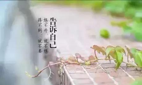对女儿的爱朋友圈句子怎么发（唯美句子，传递深情）