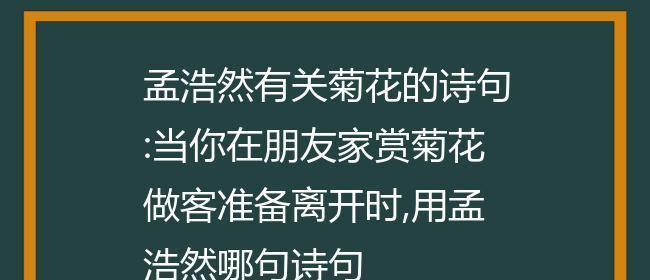 关于菊花唯美的诗句（《菊花独秀》的情感表达与菊花的描绘）