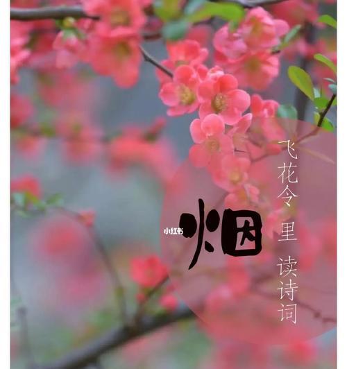 含有花的诗句飞花令500首（《飞花令：花舞诗篇》）