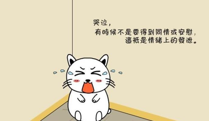 十种宣泄情绪的办法（TheBeautyofEmotions）