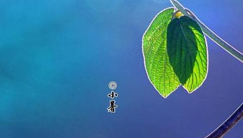小暑祝福短信_小暑养生短信_小暑祝福语（缘分天定，生活美好）
