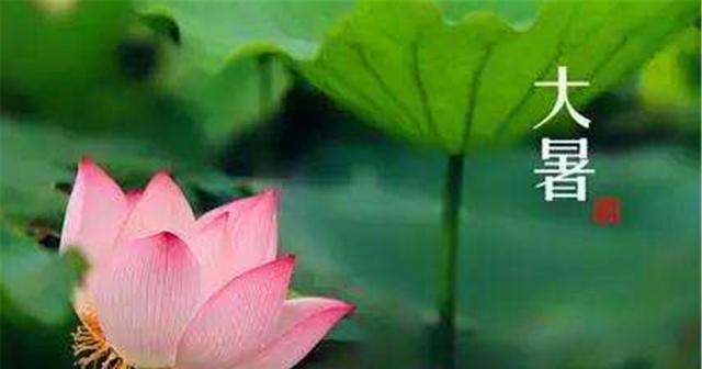 小暑祝福短信_小暑养生短信_小暑祝福语（缘分天定，生活美好）
