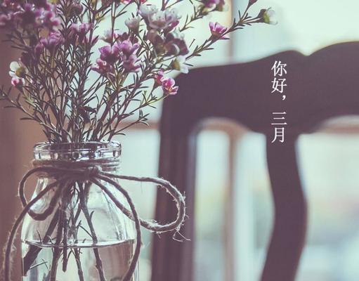 三月你好的句子怎么说（三月你好，春日阳光温暖，花海盛开）