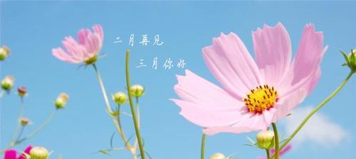 三月第一天朋友圈怎么发（三月初，倾听心灵）