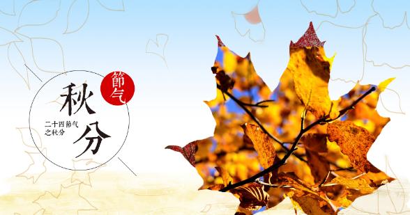 秋分节气怎么发朋友圈（2024秋分节气发朋友圈好句）