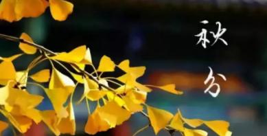 今天秋分怎么发朋友圈（忆往昔）