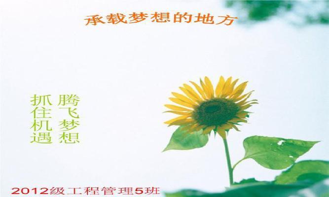 让梦想开花800字记叙文（唯美短句）