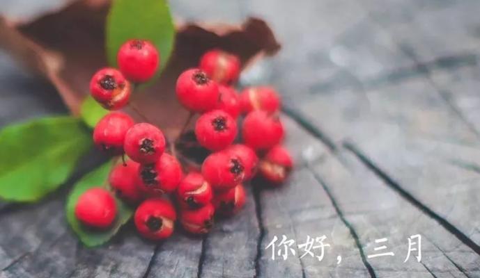 三月到来怎么发朋友圈（三月的温暖，点亮生活）