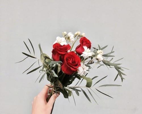 三月到来怎么发朋友圈（三月的温暖，点亮生活）
