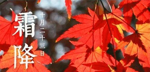 霜降季节的问候语（霜降问候——秋季美景）