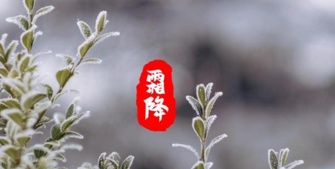 霜降季节的问候语（霜降问候——秋季美景）