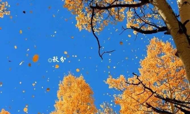 秋分朋友圈怎么发（秋分祝福句子，传递温暖的祝福）