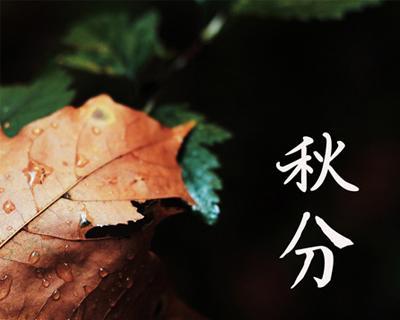 秋分的朋友圈怎么发（秋分的美丽、秋分的感悟）