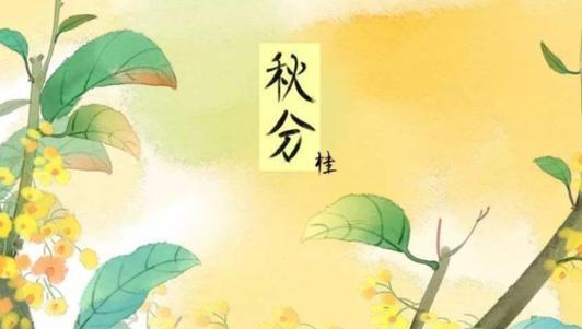 秋分的朋友圈怎么发（温柔的阳光照耀着秋分）