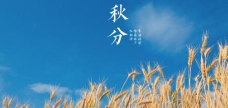 秋分的朋友圈怎么发（温柔的阳光照耀着秋分）