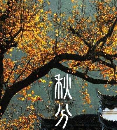 秋分节气怎么发朋友圈（一份唯美祝福，送给深秋）