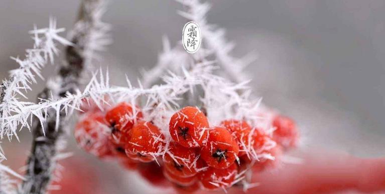 霜降怎么发朋友祝福的说说（霜降微信问候，传递温暖）