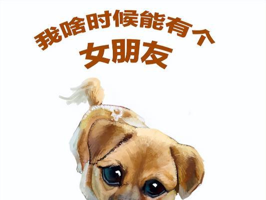七夕情人节单身狗怎么发朋友圈说说（用唯美短句，描绘单身狗的心境）