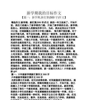 每个人都应该有目标用英语怎么说（《目标坚定，追梦不止》）